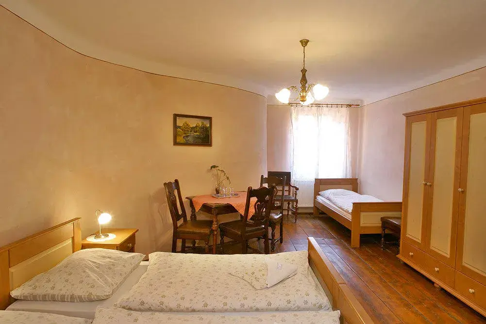 Photo 4 of Hotel Švamberský dům